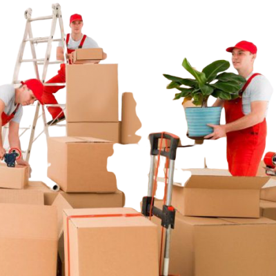 Moving Packing Group