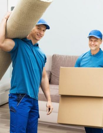Swany Movers