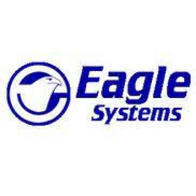 Eagle Systems Inc