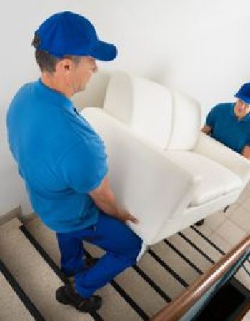 Swany Movers