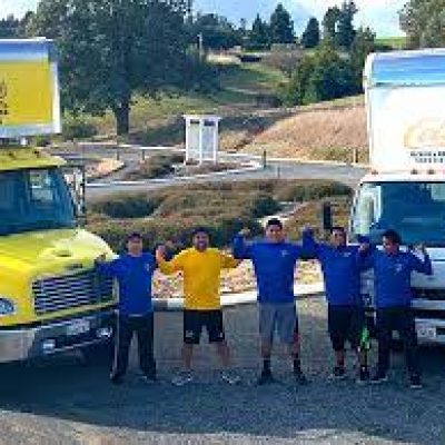 Celis Movers