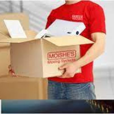 Moishe’s Moving Systems