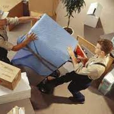 Black Bear moving and storage
