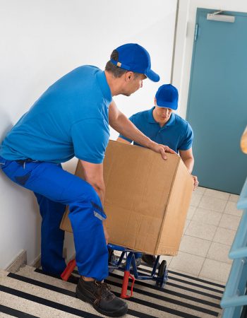 New Neighbors Moving