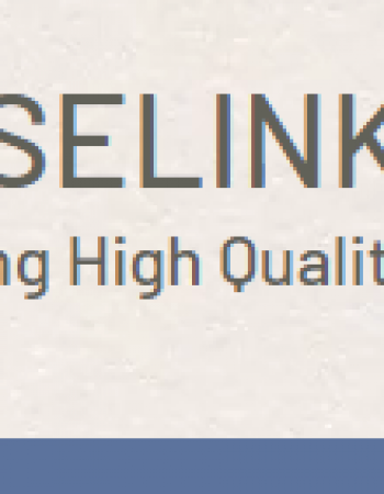 Masselink Brothers Trucking