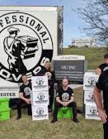 Professional Movers
