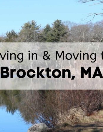 Mass Bay Movers