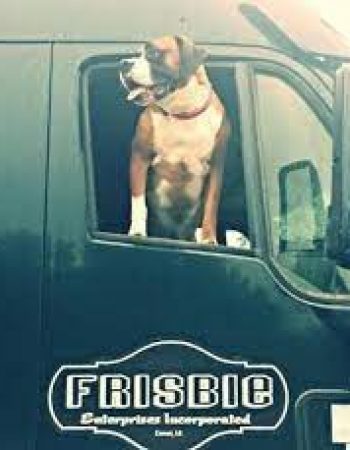 Frisbie Enterprises Inc