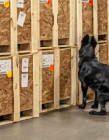 Commercial Freight Services