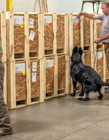 Commercial Freight Services