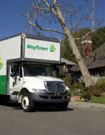 Bayside Moving & Storage