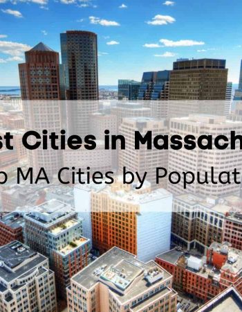 Mass Bay Movers