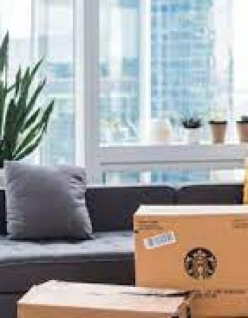 Delta United Movers LLC