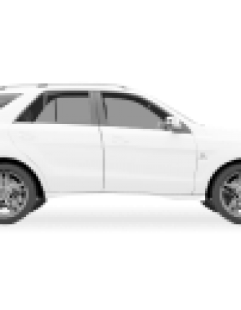 Ship Guy Auto Transport