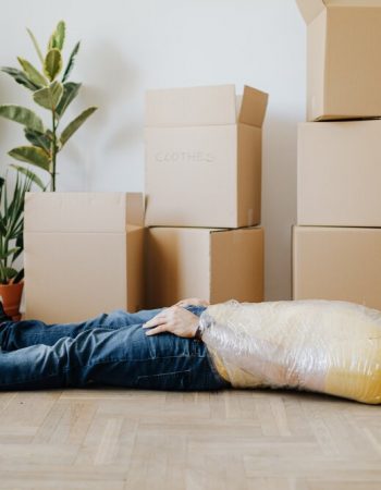 Sitterly Movers