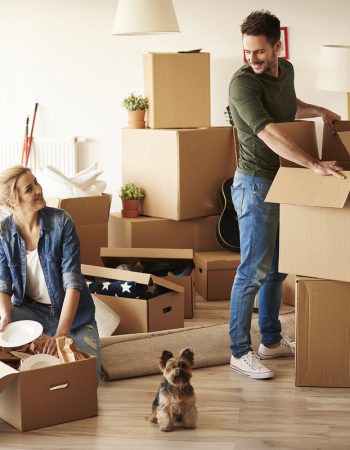 Sitterly Movers