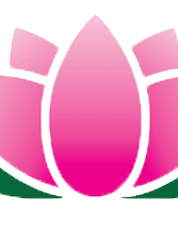 Lotus Transport LLC