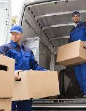 VALIDO MOVING
