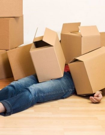 Hercules Moving Solutions