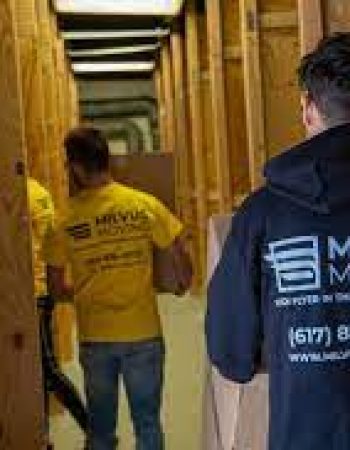 Milvus Moving
