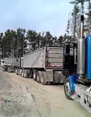 N&B & GB TRUCKING INC