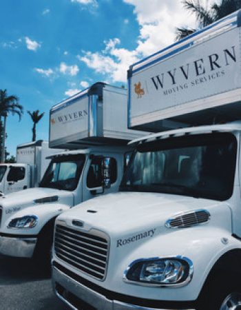 Wyvern Services