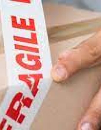 Florida Moving & Storage