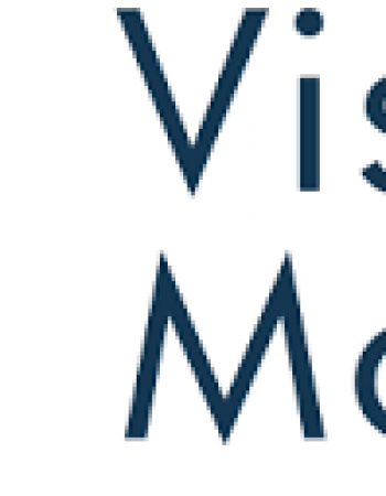 Vision Movers