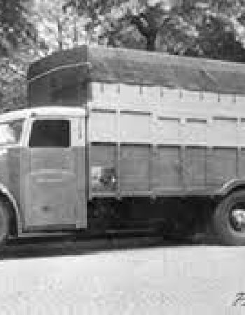 Chatelain Cargo Services