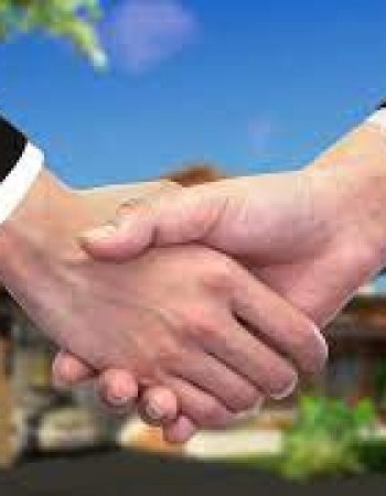 Daytona Luxury Movers