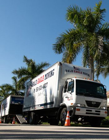 Bald Eagle Moving LLC