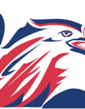 Bald Eagle Moving LLC