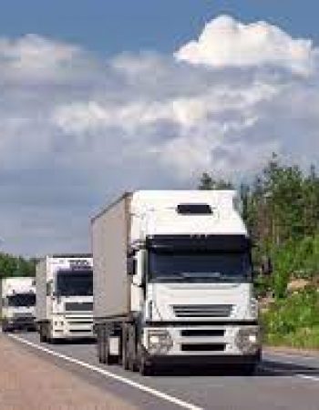 First Coast Movers
