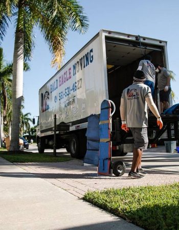 Bald Eagle Moving LLC