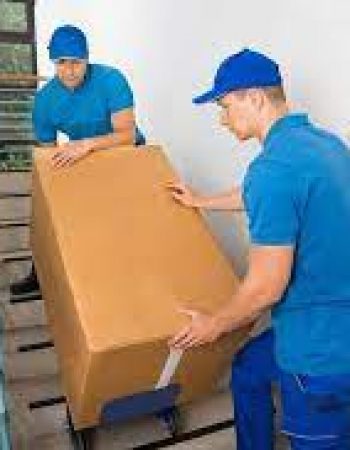 T & E Movers