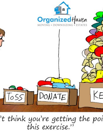 Organized Haven
