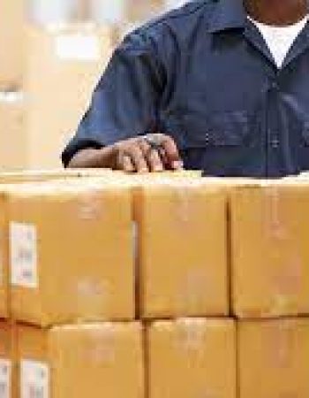Safari International Shipping Inc