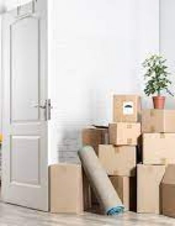 Best Miami Movers