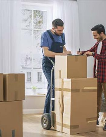 Best Miami Movers