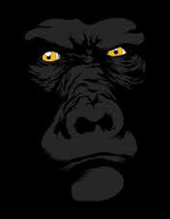 3 Gorillas Moving and Storage