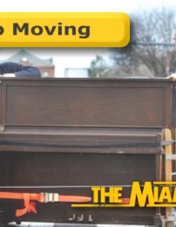 The Miami Movers