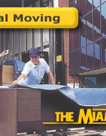 The Miami Movers