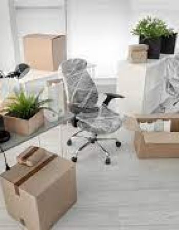 Eko Movers