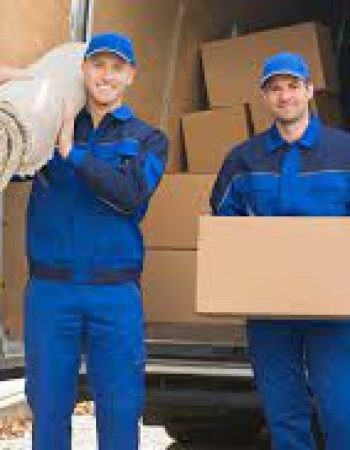 3 Guys Moving Riverview