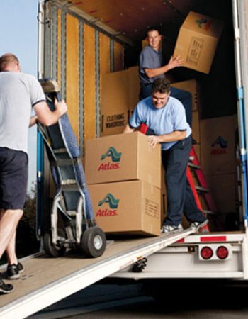 Palm Coast Mover