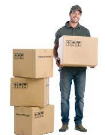 Ormond Moving & Storage