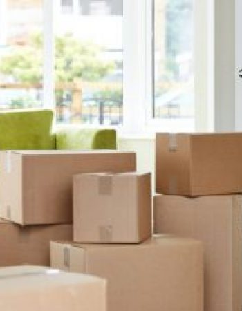 American Plus Moving and Storage