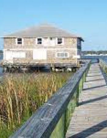 Palm Coast Mover