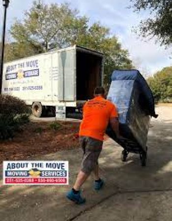 About The Move