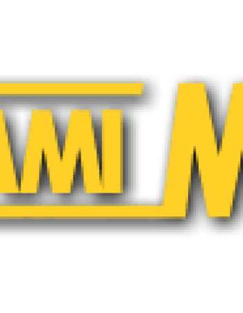 The Miami Movers